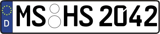 MS-HS2042