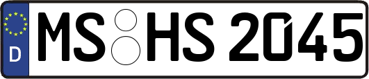 MS-HS2045