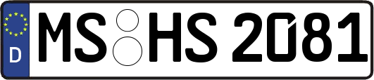 MS-HS2081