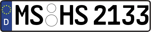 MS-HS2133