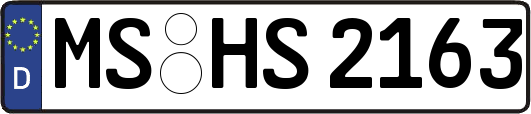 MS-HS2163