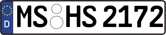 MS-HS2172