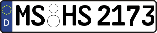 MS-HS2173