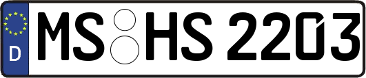 MS-HS2203