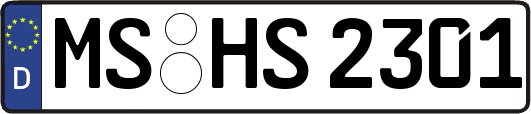 MS-HS2301