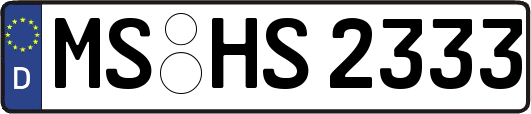 MS-HS2333