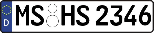 MS-HS2346