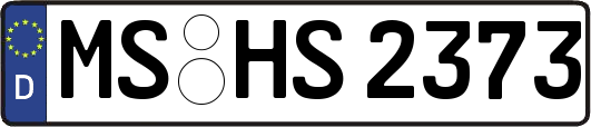 MS-HS2373