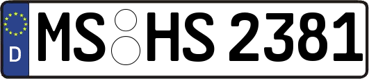 MS-HS2381