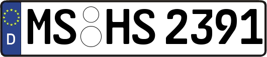 MS-HS2391