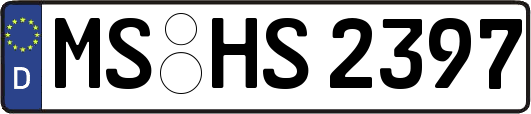 MS-HS2397