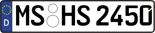 MS-HS2450