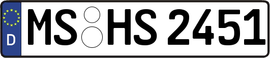 MS-HS2451