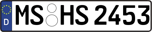 MS-HS2453