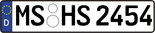 MS-HS2454