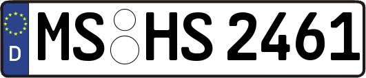 MS-HS2461