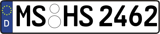 MS-HS2462