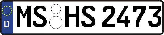 MS-HS2473
