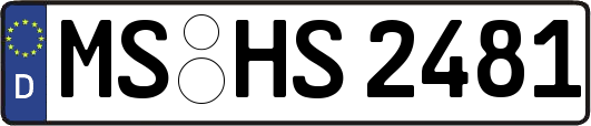 MS-HS2481