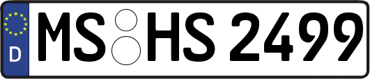 MS-HS2499