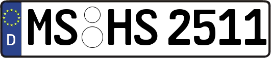 MS-HS2511
