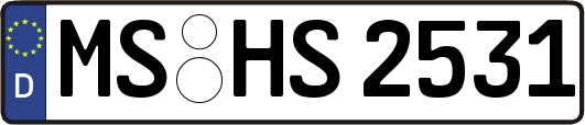 MS-HS2531