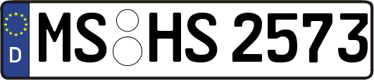 MS-HS2573
