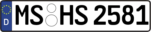 MS-HS2581