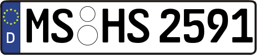 MS-HS2591