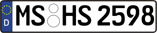 MS-HS2598