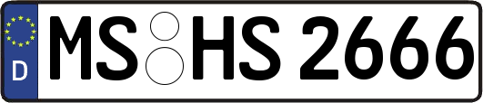 MS-HS2666
