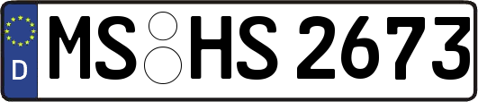 MS-HS2673