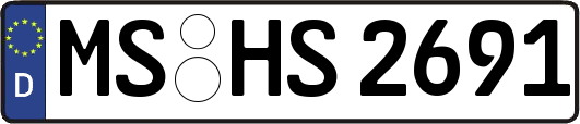 MS-HS2691