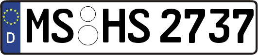 MS-HS2737
