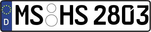 MS-HS2803