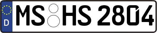 MS-HS2804