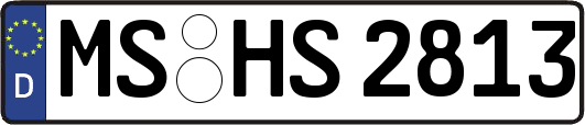 MS-HS2813