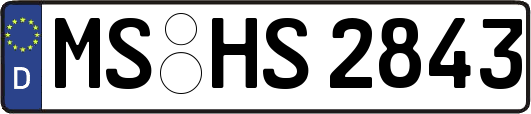 MS-HS2843