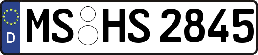 MS-HS2845