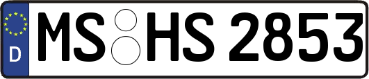 MS-HS2853