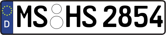 MS-HS2854
