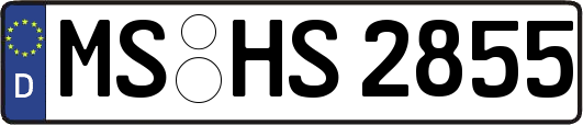 MS-HS2855