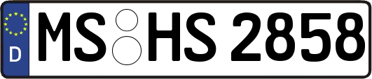 MS-HS2858