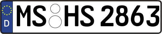 MS-HS2863