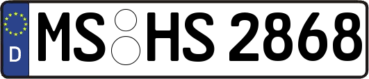 MS-HS2868