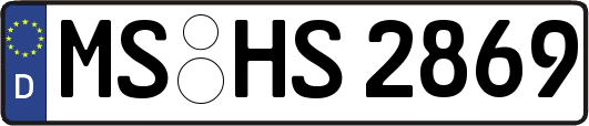 MS-HS2869