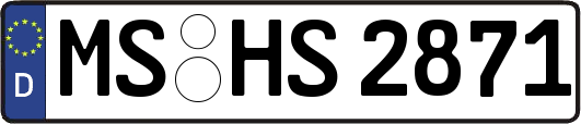 MS-HS2871