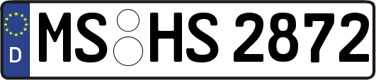 MS-HS2872