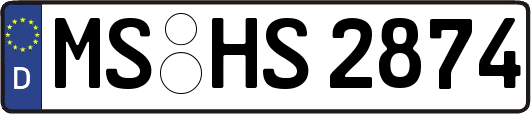 MS-HS2874