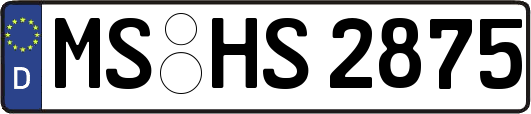 MS-HS2875